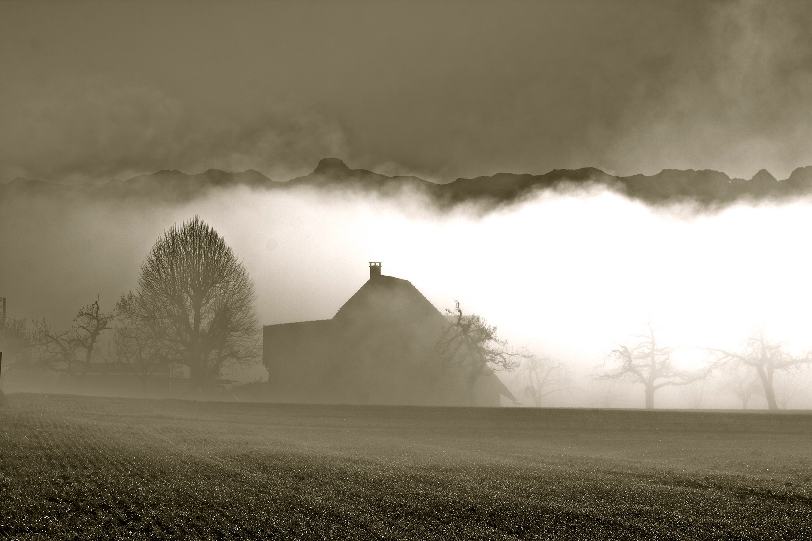 Novembertag auf dem Ballenbühl