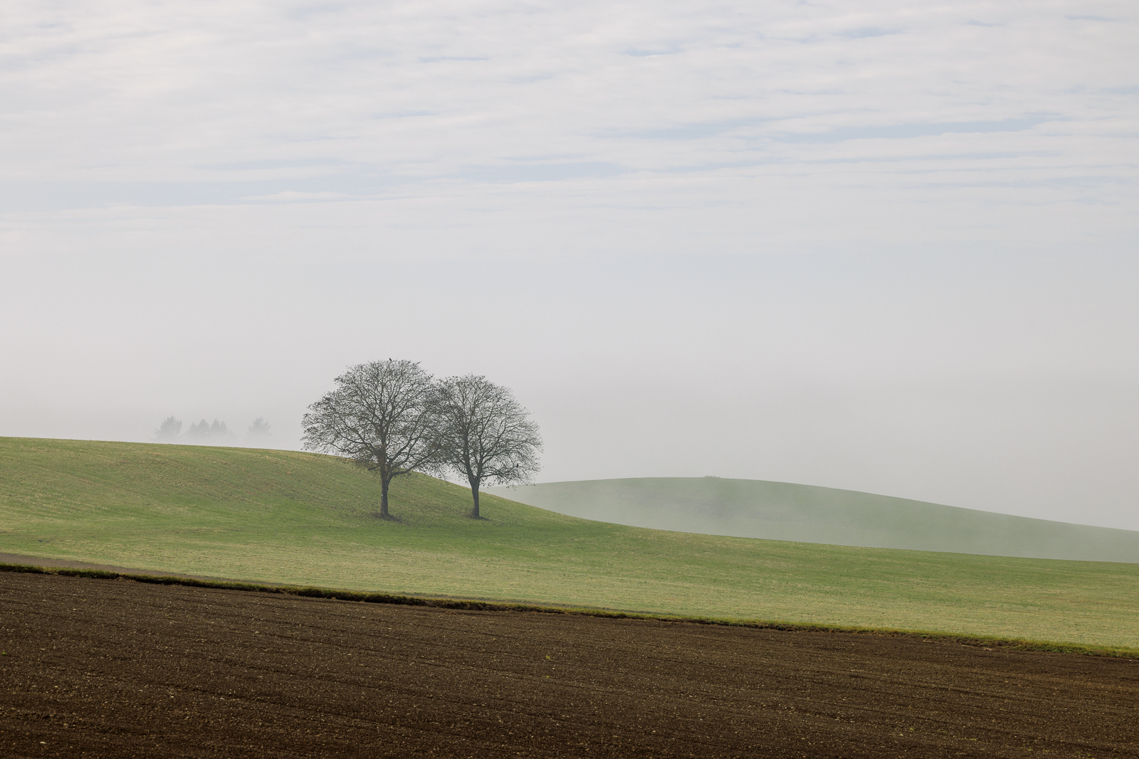 Novembertag