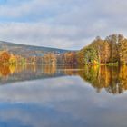 Novembertag im Park