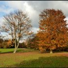 Novembertag im Südpark