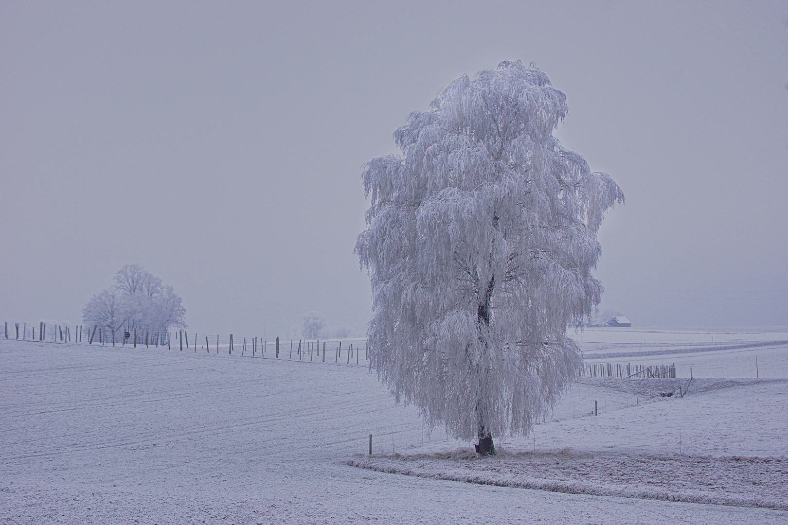 Novembertage