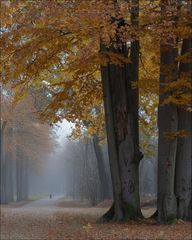 Novembertage ...