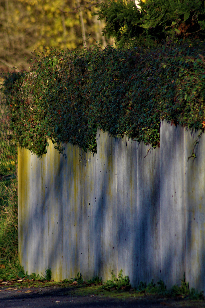 Novembertage, die länger werdenden Schatten auf den alten Mauern entlang der Natur