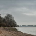 Novembertristesse am Elbestrand