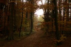 novemberwald