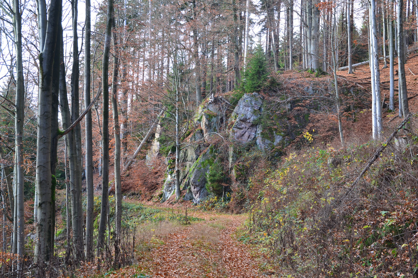 Novemberwanderung (8)