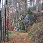 Novemberwanderung (8)