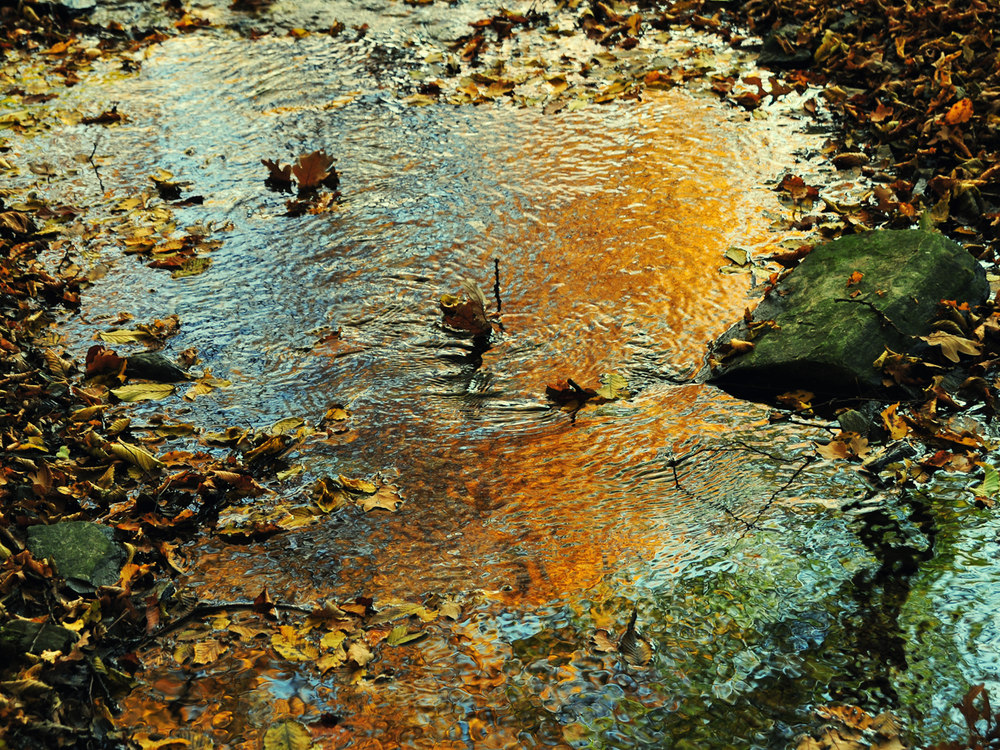 november.wasser.farben - flüssig