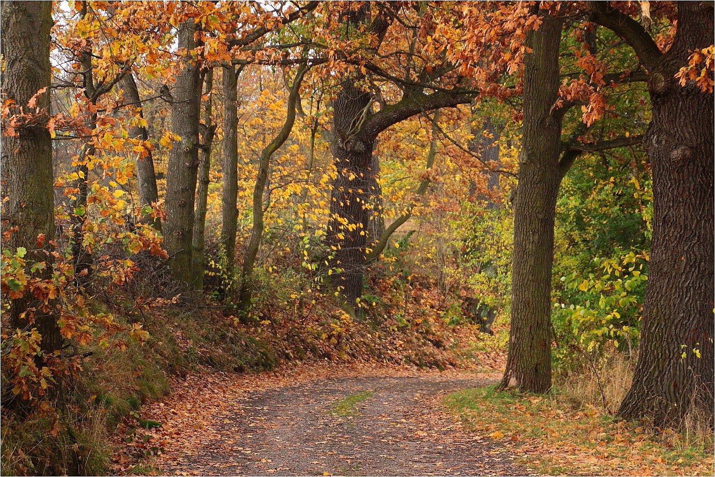 Novemberweg (1)