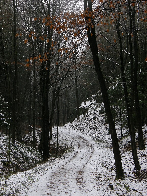 NOVEMBERWEG