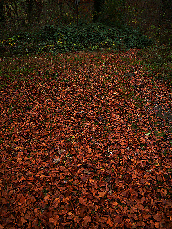 NovemberWeg