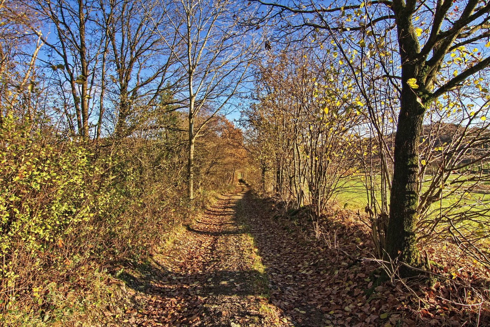 Novemberweg 