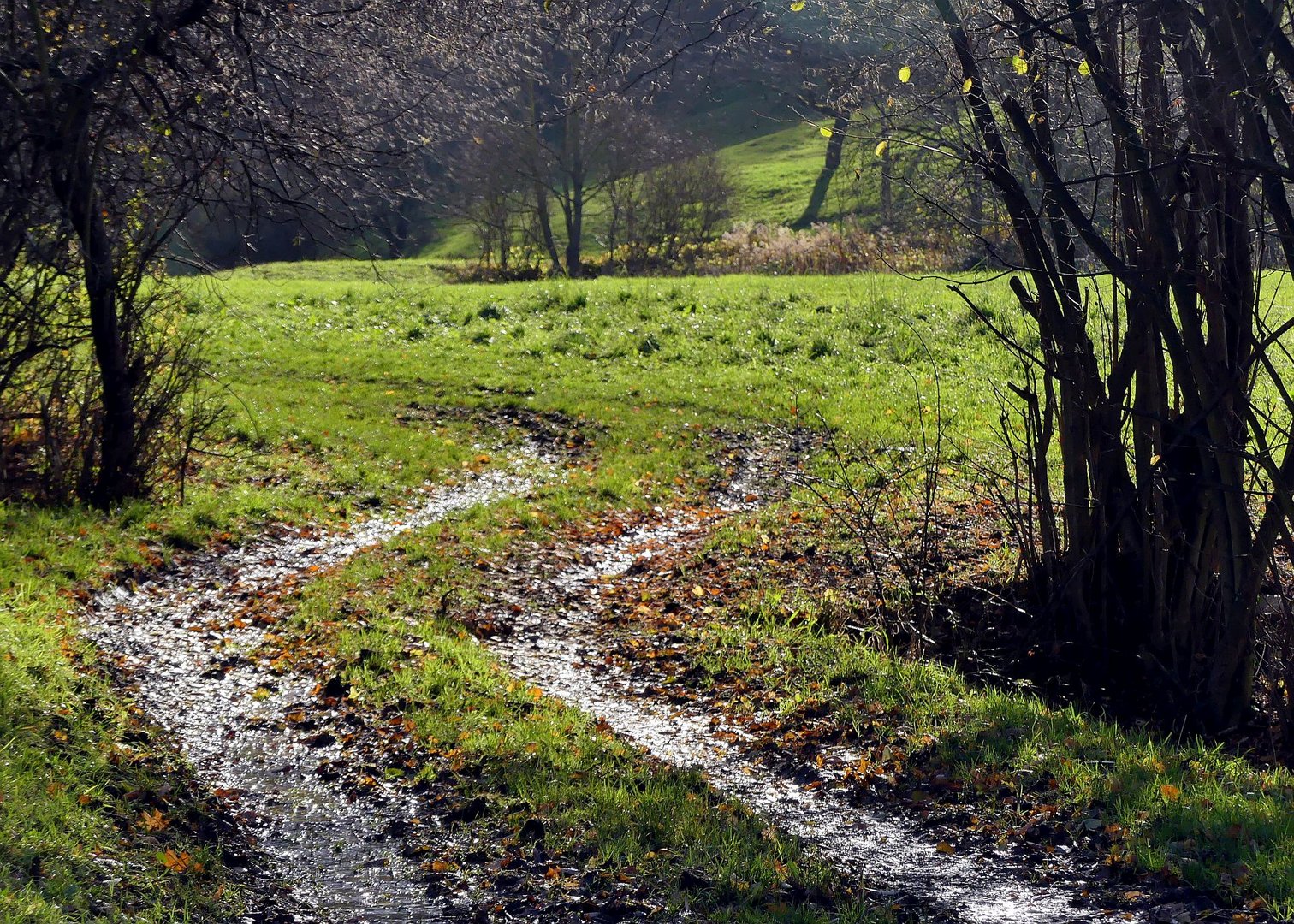 Novemberweg....