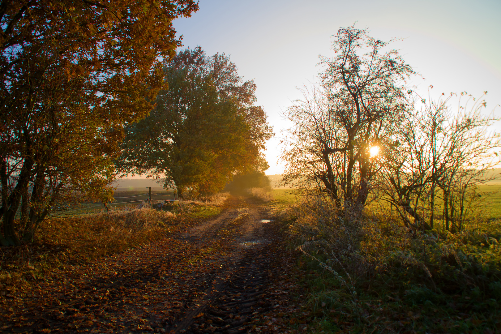 Novemberwege, Land Brandenburg