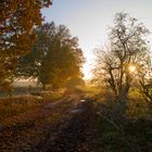 Novemberwege, Land Brandenburg