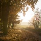 Novemberwege, Norddeutschland