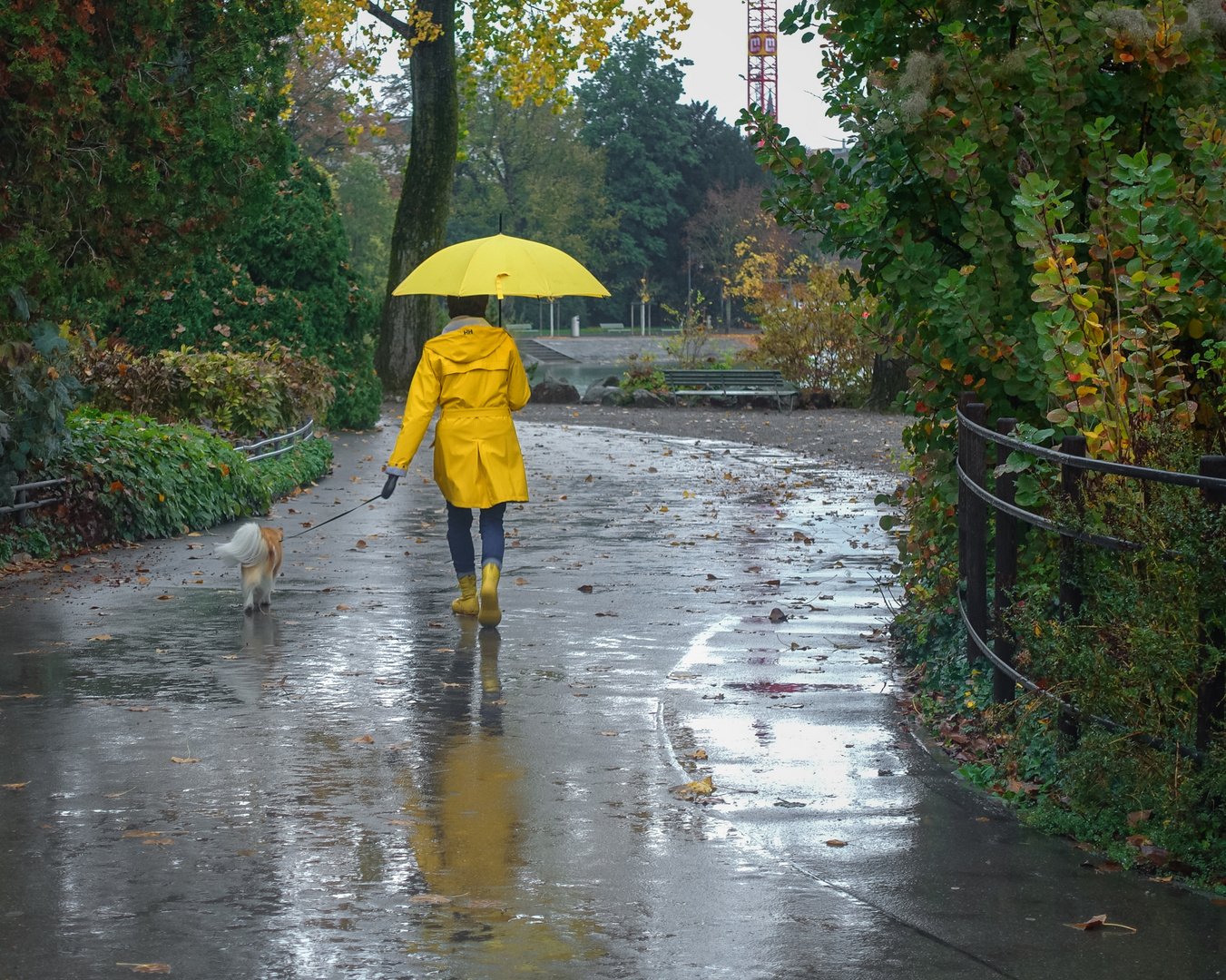 Novemberwetter