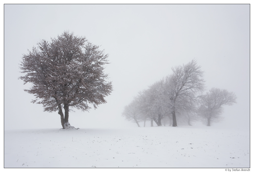 Novemberwetter