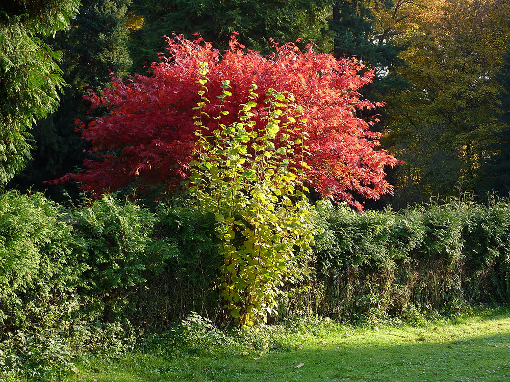 Novemberwetter