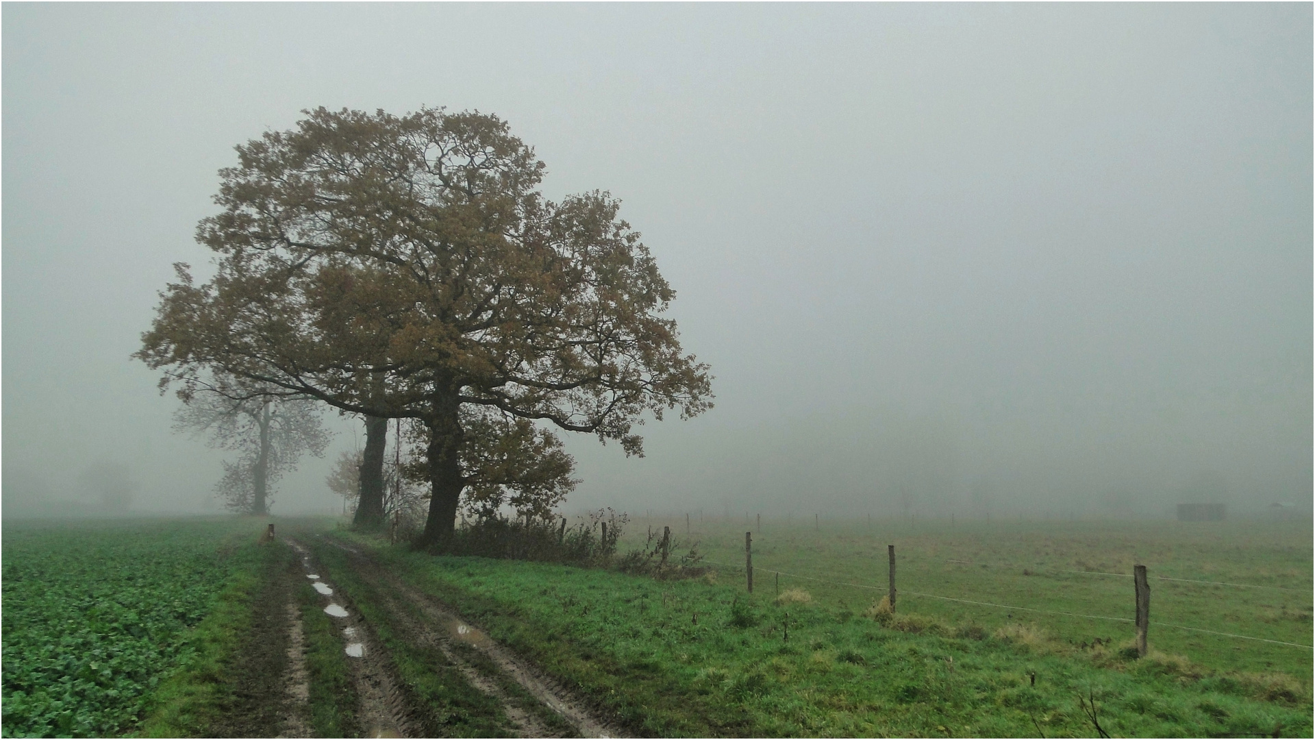 Novemberwetter