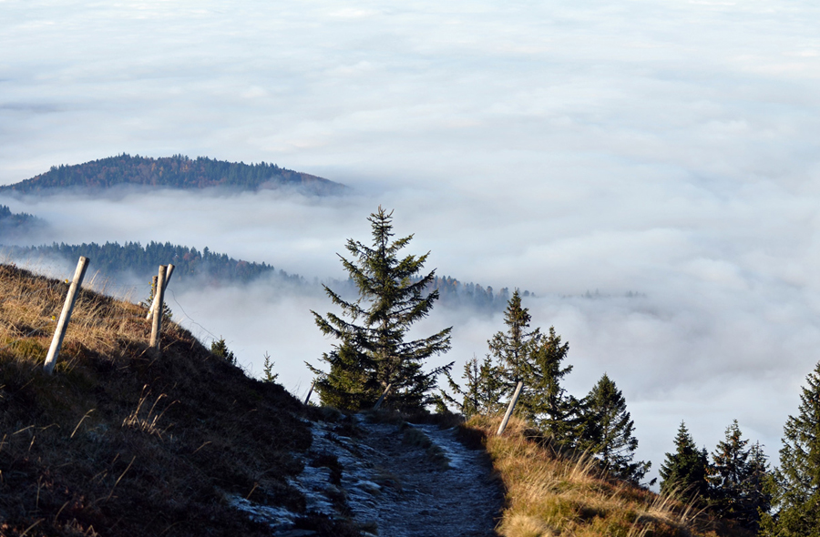 Novemberwetter