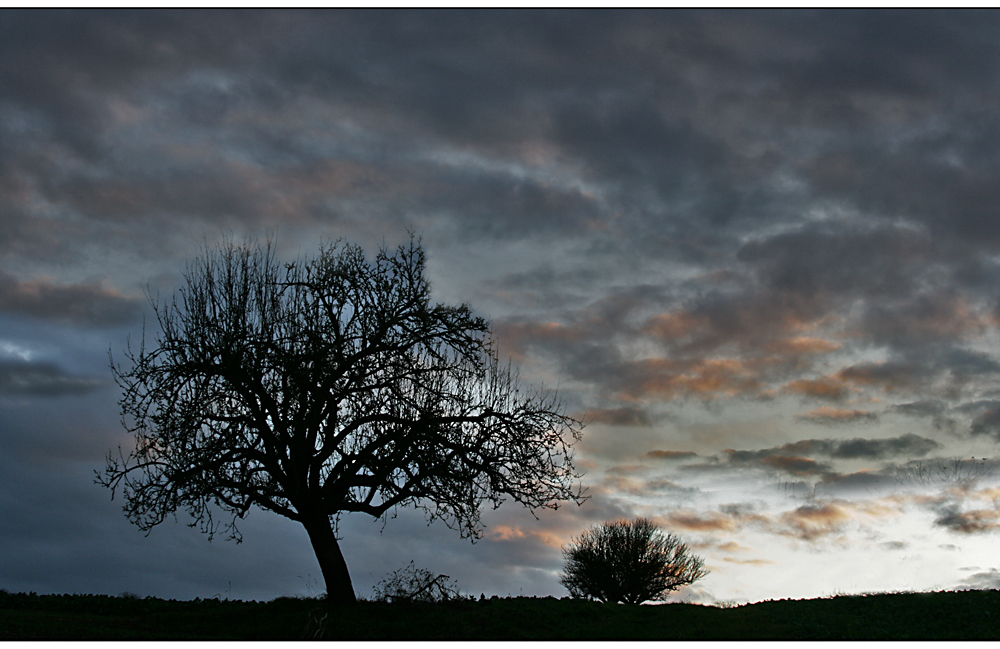 Novemberwetter