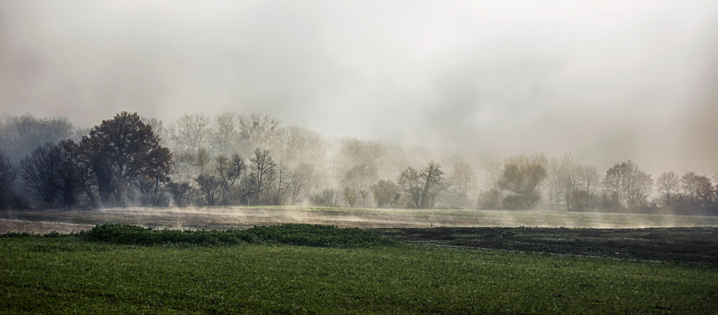 Novemberwetter