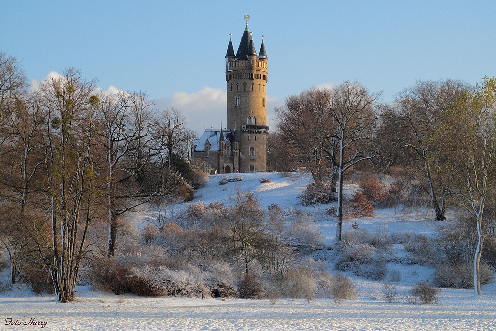 Novemberwinter im Park Babelsberg. Foto & Bild ...