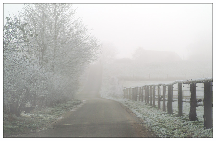 Novemberwinternebel