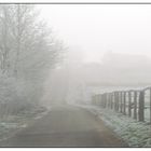 Novemberwinternebel