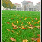 Novembre a Padova. L'odore d'autunno