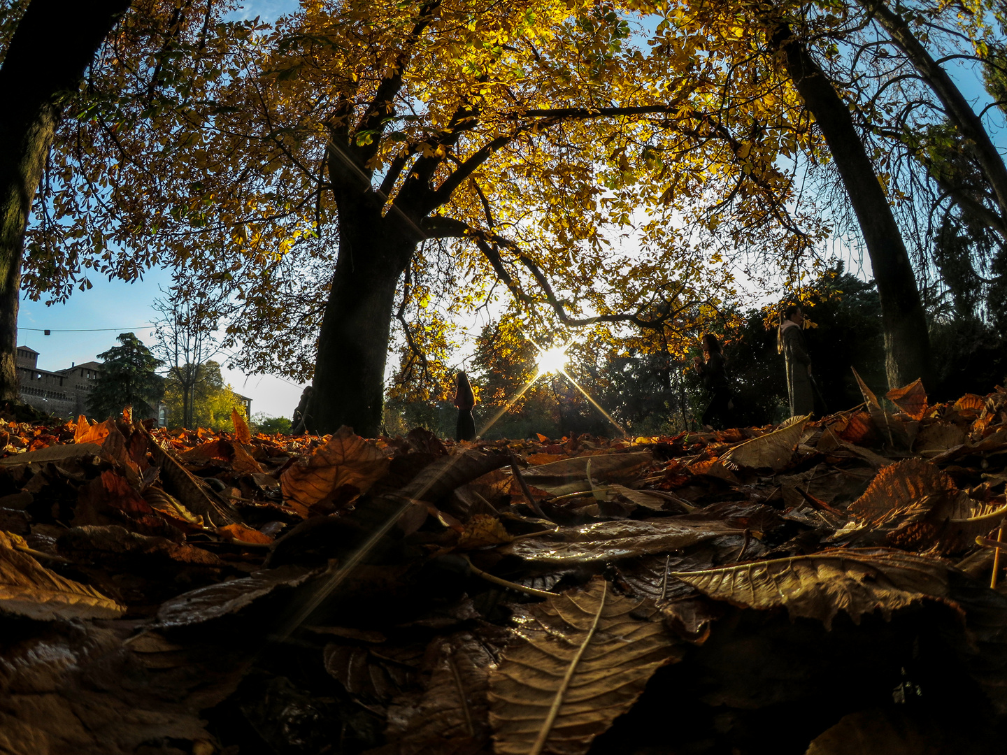 Novembre al parco