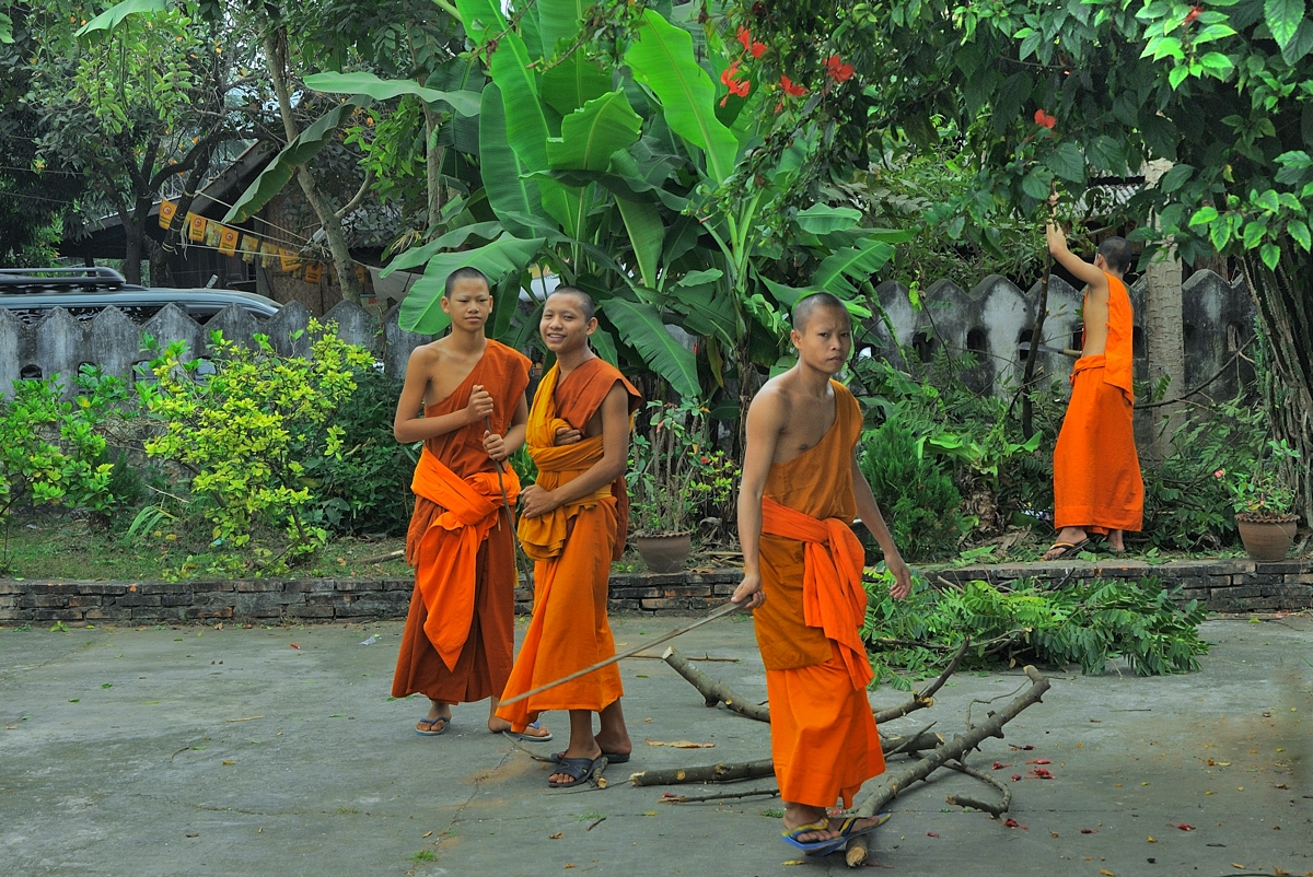 Novices clean the yard in Wat Manorom