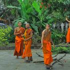 Novices clean the yard in Wat Manorom