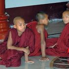 Novices in the Shwedagon complex