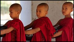 Novizen beim Morgendlichen Rundgang, Myanmar/Burma 2012