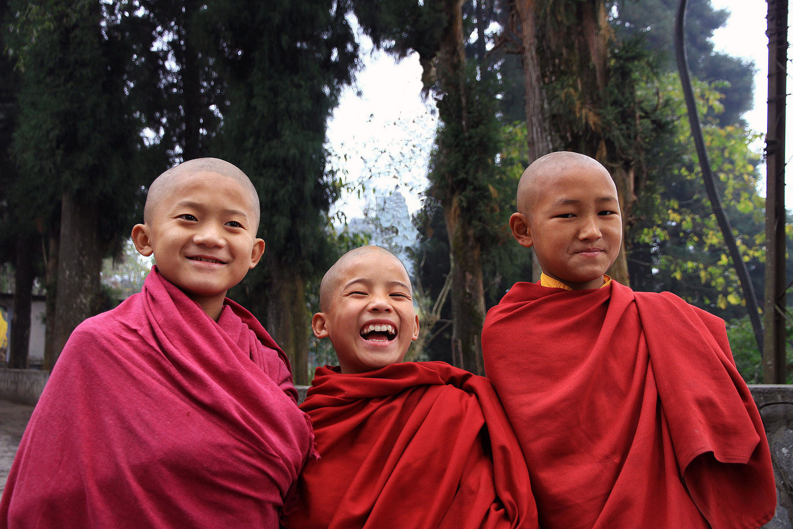 Novizen im Kloster Rumtek nahe Gangtok (Sikkim), Indien