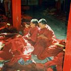 Novizen im Kloster Sera      Lhasa Tibet