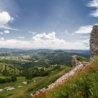 Novo Brdo Castle