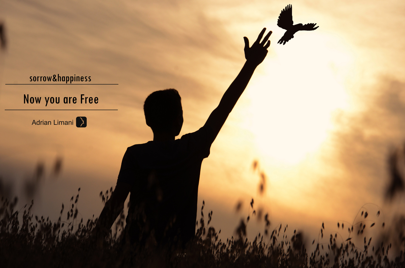 You are free JapaneseClass.jp