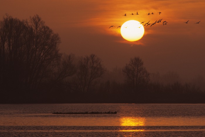 NP Biesbosch Nederland