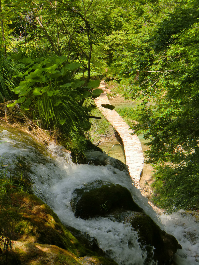 NP Plitvice Lakes : SASTAVCI Last Waterfalls from over 90 and the begin of the KORANA River