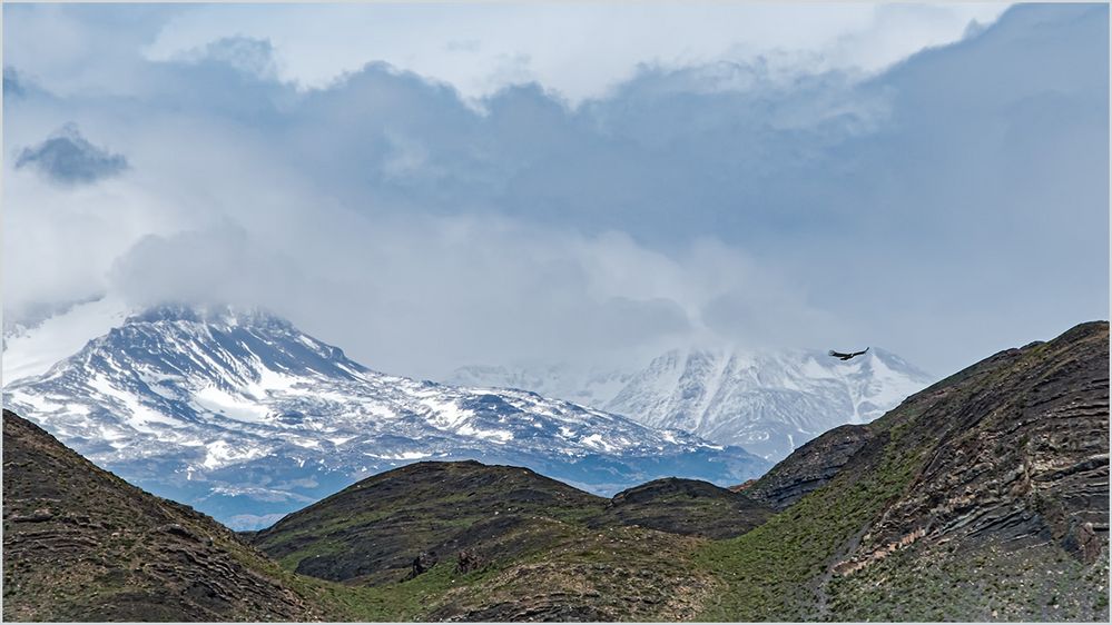 NP Torres del Paine.2