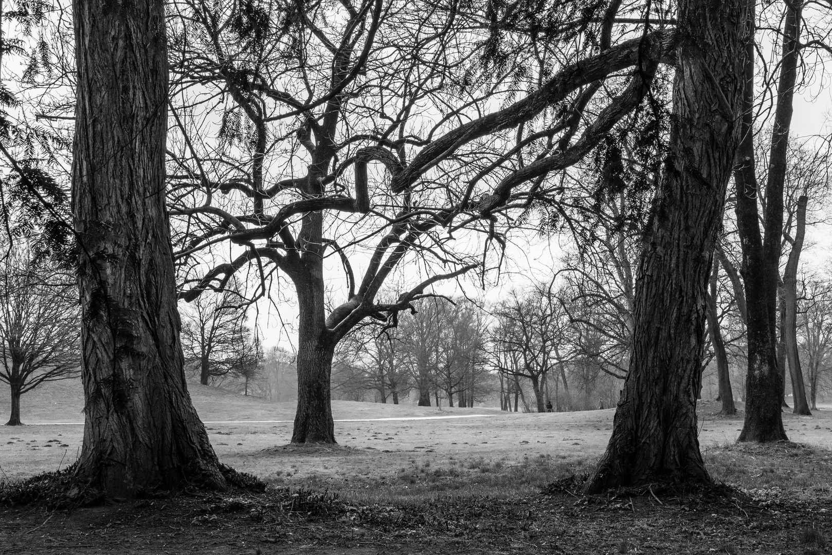 Nr. 10 aus der Serie Stadtparks, 2016