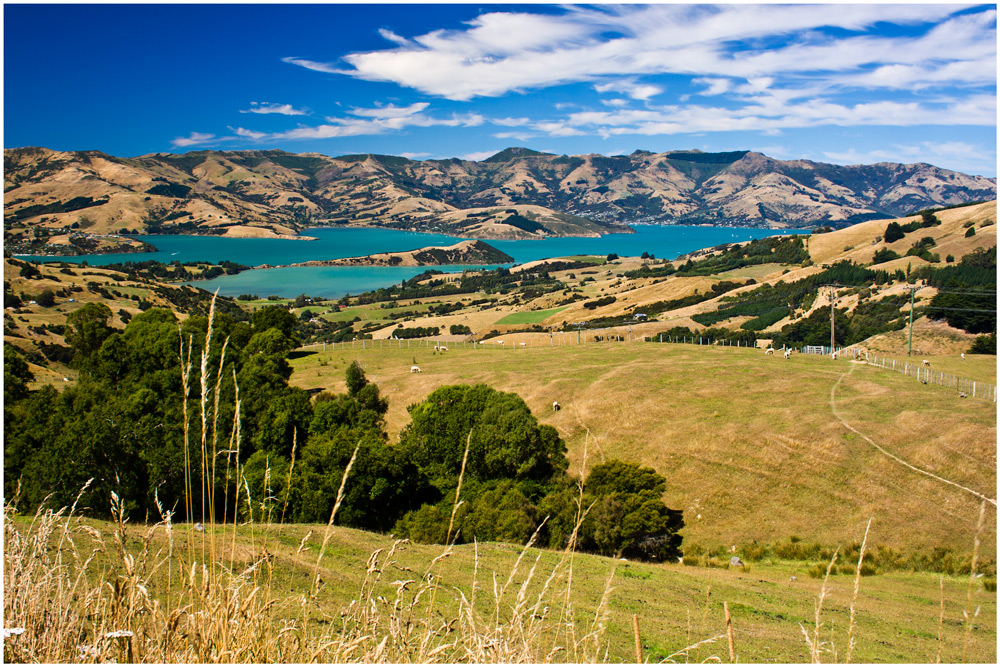 nr. 16 - banks peninsula