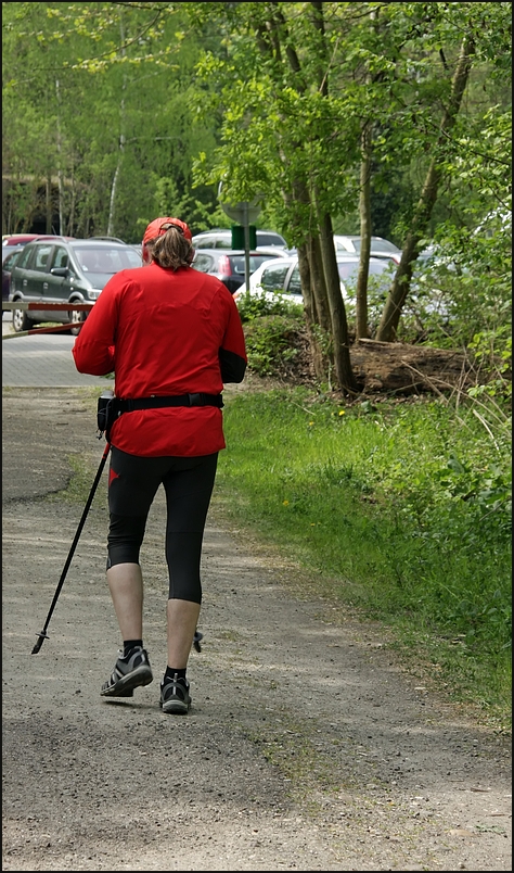 Nr 17 der Rotrückenwürger