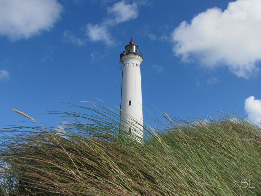 Nr Lyngvig Fyr in den Dünen