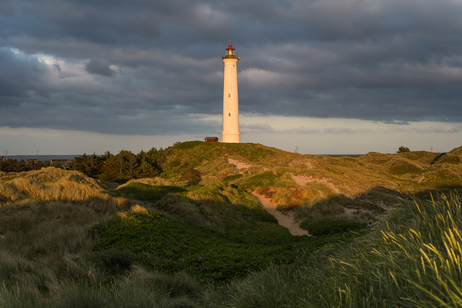 Nr. Lyngvig Sunset