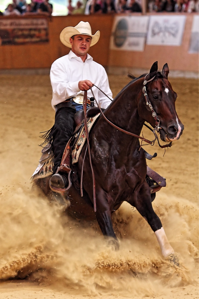 NRW Challenge 2013 / 1.Platz Reining