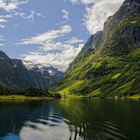 Nærøyfjord (Norwegen)